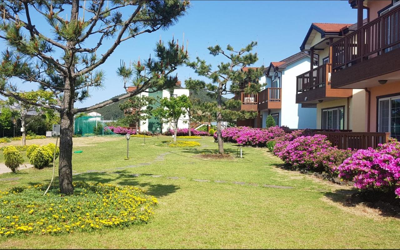 Jeju Time-Travel Pension Εξωτερικό φωτογραφία