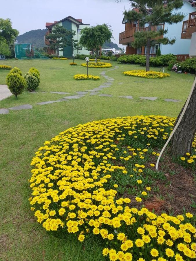 Jeju Time-Travel Pension Εξωτερικό φωτογραφία