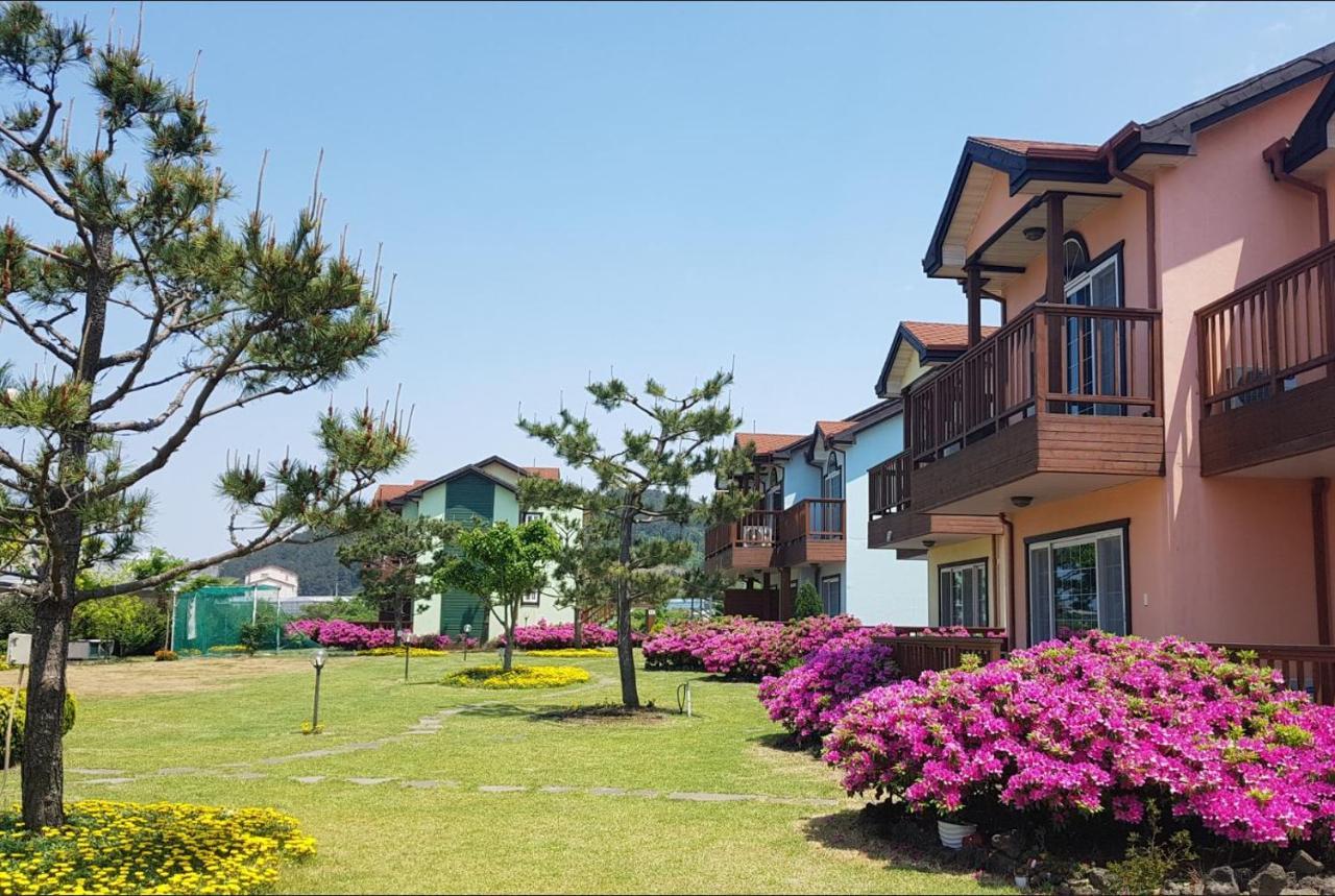 Jeju Time-Travel Pension Εξωτερικό φωτογραφία