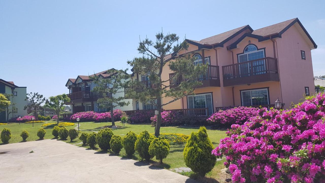 Jeju Time-Travel Pension Εξωτερικό φωτογραφία