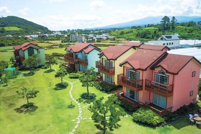 Jeju Time-Travel Pension Εξωτερικό φωτογραφία